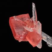 Rhodochrosite on Quartz from Sweet Home Mine, Mount Bross, Alma District, Park Co., CO
FOV: 2.1 cm