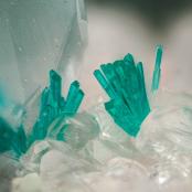Dioptase and Apophyllite from Christmas Mine, Christmas area, Banner District, Dripping Spring Mts, Gila Co., AZ, USA
FOV: 1.78 mm