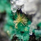 Boltwoodite from Green Monster Mine, Clark Co., Nevada
FOV: 1 mm
