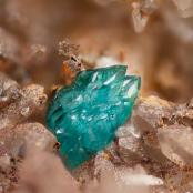 Caledonite from Dos Adriana Mine, Zapallar dist., Copiapó Province, Atacama Region, Chile
FOV: 1.72 mm