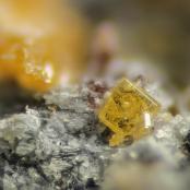 Wulfenite from Blue Bell Mine, Baker, Soda Lake Mts, San Bernardino Co., CA
FOV: 0.38 mm