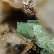 Torbernite from Niederschlema, Saxony, Germany
FOV: 1.58 mm