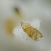 Yellow titanite crystal. Washington Pass, Okanogan Co., WA
FOV: 1.46 mm
