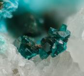 Herbertsmithite from San Francisco Mine, Antofagasta Region, Chile
FOV: 1.13 mm