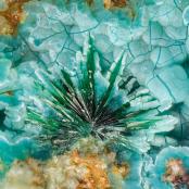 Libethenite in Chrysocolla from Old Reliable Mine, Bunker Hill Dist., Pinal Co., AZ
FOV: 2.01 mm