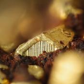 Gold from Pierina Gold-Silver Mine, Huaraz, Aija Province, Ancash Department, Peru
FOV: 1.91 mm