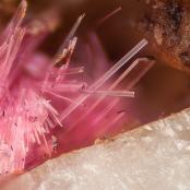 Erythrite from Bou Azer District, Tazenakht, Ouarzazate Province, Souss-Massa-Draâ Region, Morocco
FOV: 0.84 mm