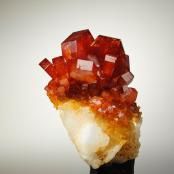 Vanadinite from Mibladen Mine, Midelt, Khénifra Province, Morocco
FOV: 3.43 cm