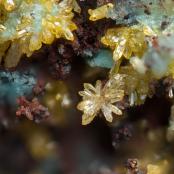 Mimetite and Chrysocolla from Singer Mine, Goodsprings Dist., Clark Co., NV
FOV: 0.9 mm