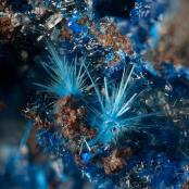 Linarite and unknown blue sprays from Leadville Mining Dist., Lake Co., CO
FOV: 3.38 mm
